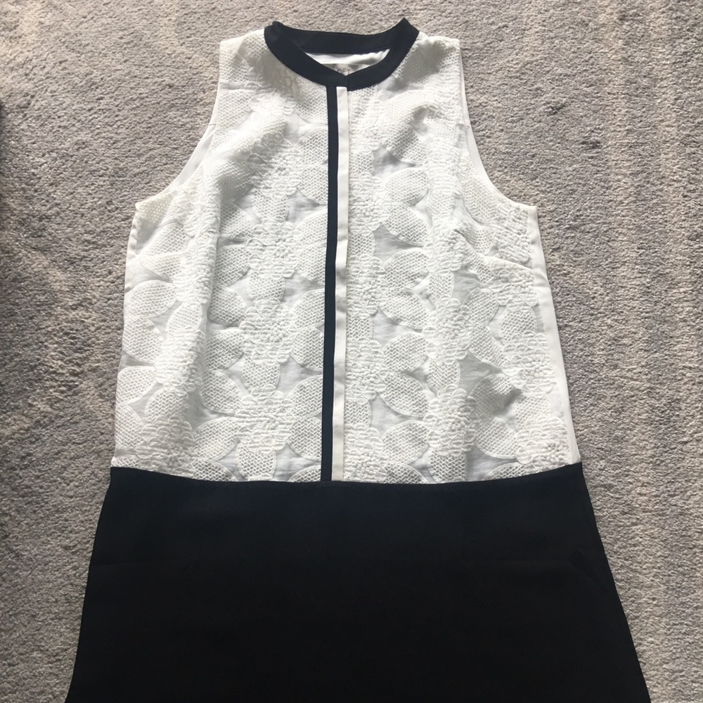 Loft Black and White Swing Dress
